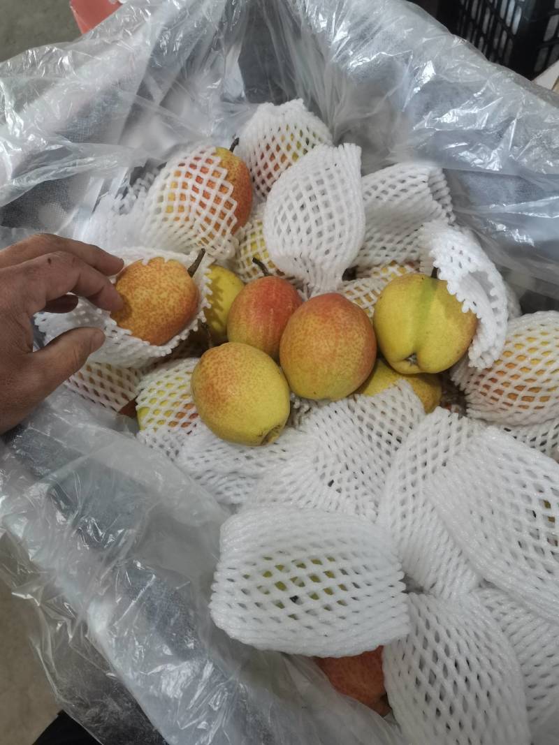 梨香梨库尔勒香梨皮薄汁多脆甜产地直供一手货源