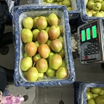 红香酥梨