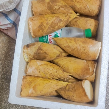 冬笋肉供应中，欢迎大老板常来订做，长期合作。