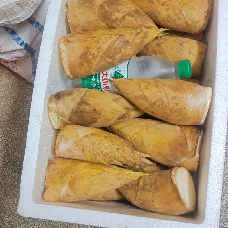 冬笋肉供应中，欢迎大老板常来订做，长期合作。
