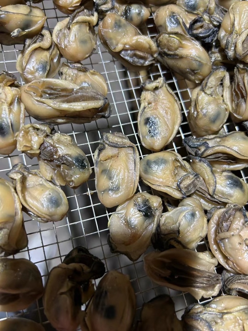 生蚝干蚝士大金蚝干不抽油厂家直供有量批发零售