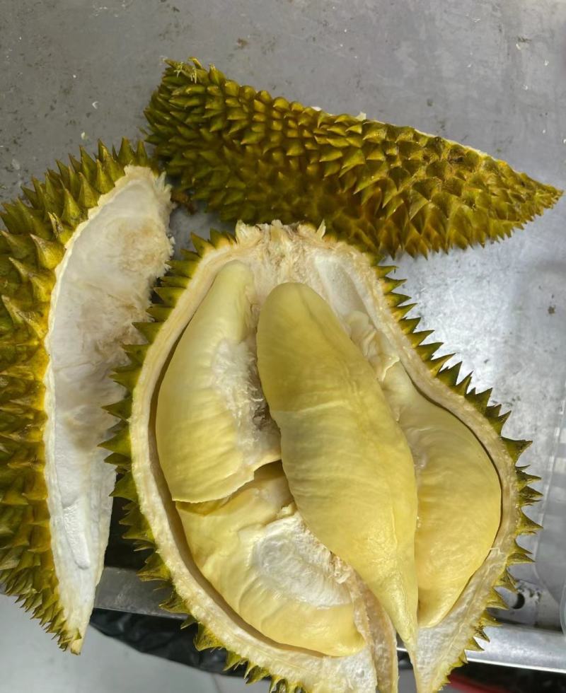 金枕榴莲一手批发价格，A果保5房，坏果包赔，货到付款