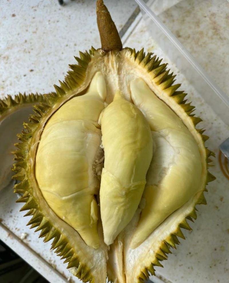 金枕榴莲一手批发价格，A果保5房，坏果包赔，货到付款