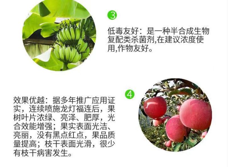 龙灯福连戊唑多菌灵轮纹病稻曲病小麦赤霉病炭疽病农药杀菌剂