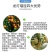 龙灯福连戊唑多菌灵轮纹病稻曲病小麦赤霉病炭疽病农药杀菌剂
