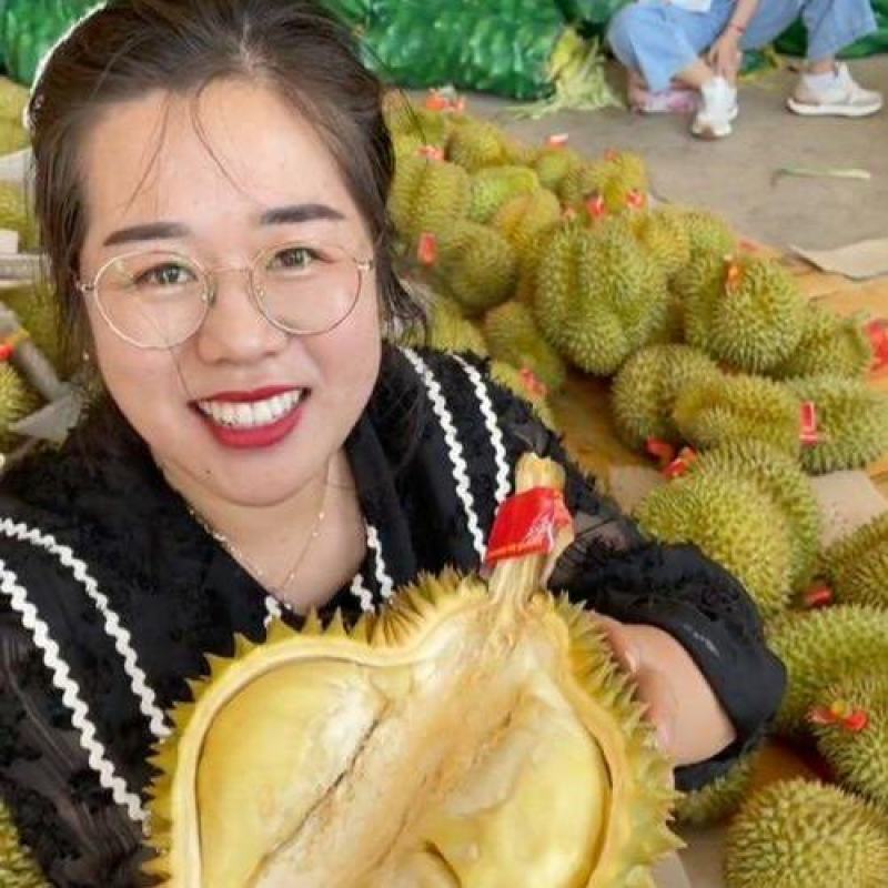 金枕榴莲产地直销，一手批发货源，A果保5房，坏果包赔
