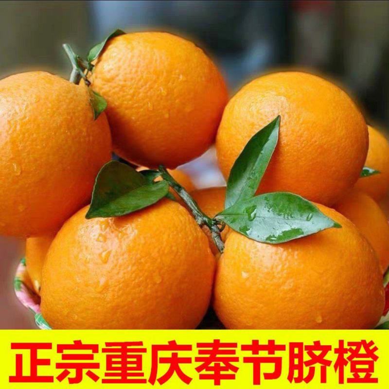 正宗原产地重庆奉节脐橙鲜果长期供货水果礼盒