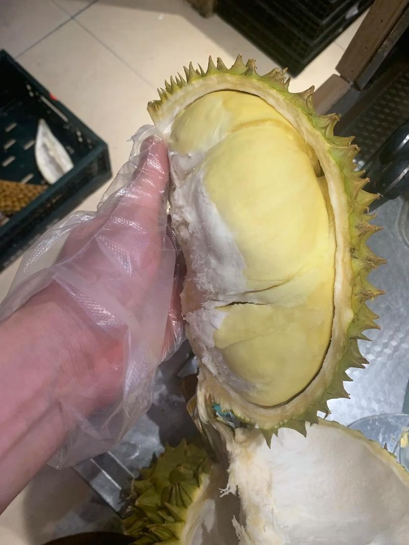 金枕榴莲产地直销，一手批发货源，A果保5房，坏果包赔