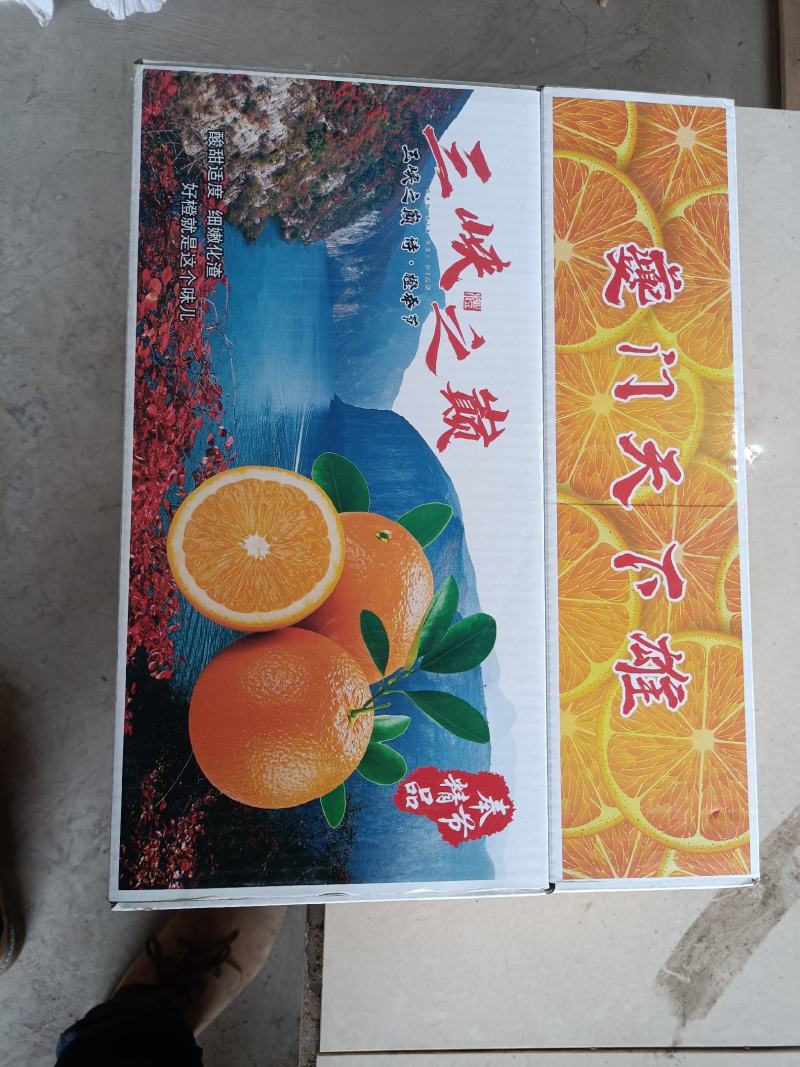 正宗原产地重庆奉节脐橙鲜果长期供货水果礼盒