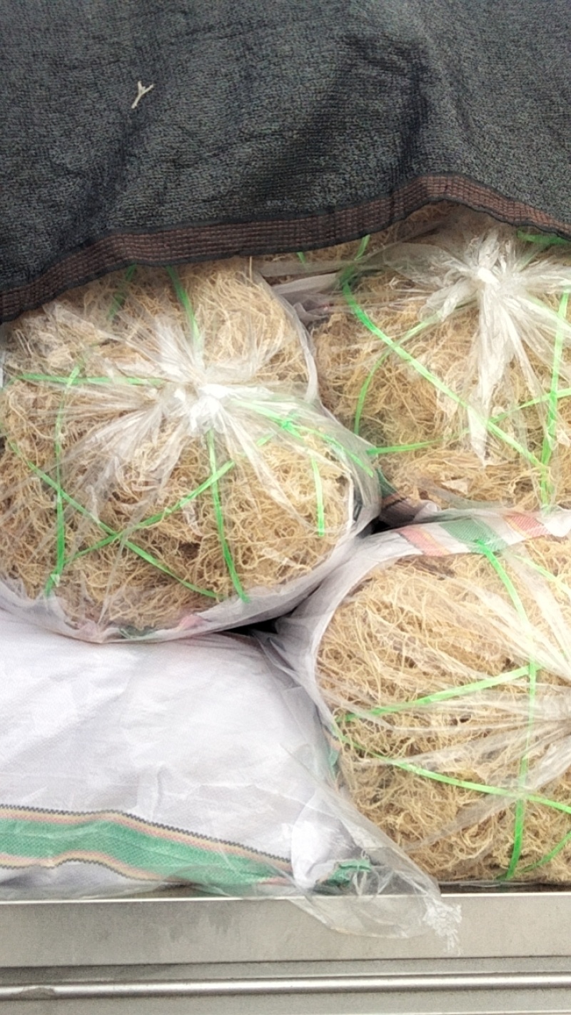 清水无盐纯干龙须菜鹿角菜高泡发率高，产地批发欢迎选购