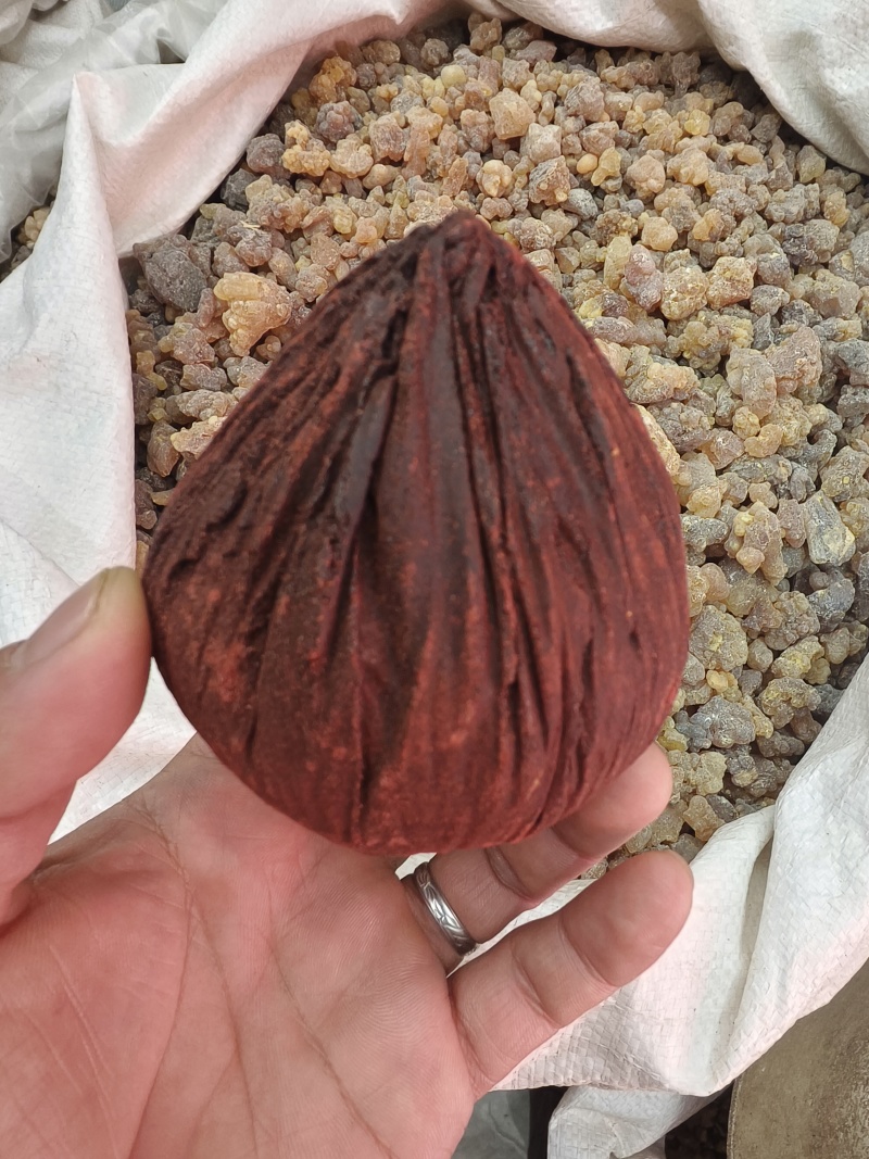 血竭进口血竭新货皇冠血竭正品保证假一赔十大货批发零售