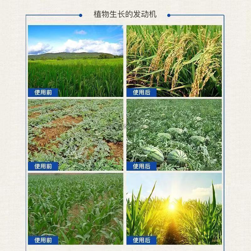 贝乐康亚磷酸钾叶面肥农用控梢膨果柑橘果树蔬菜高钾高磷水溶