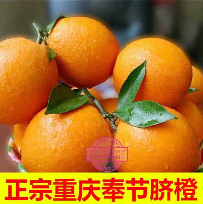 正宗原产地重庆奉节脐橙鲜果批发代收代发洗果运输服务