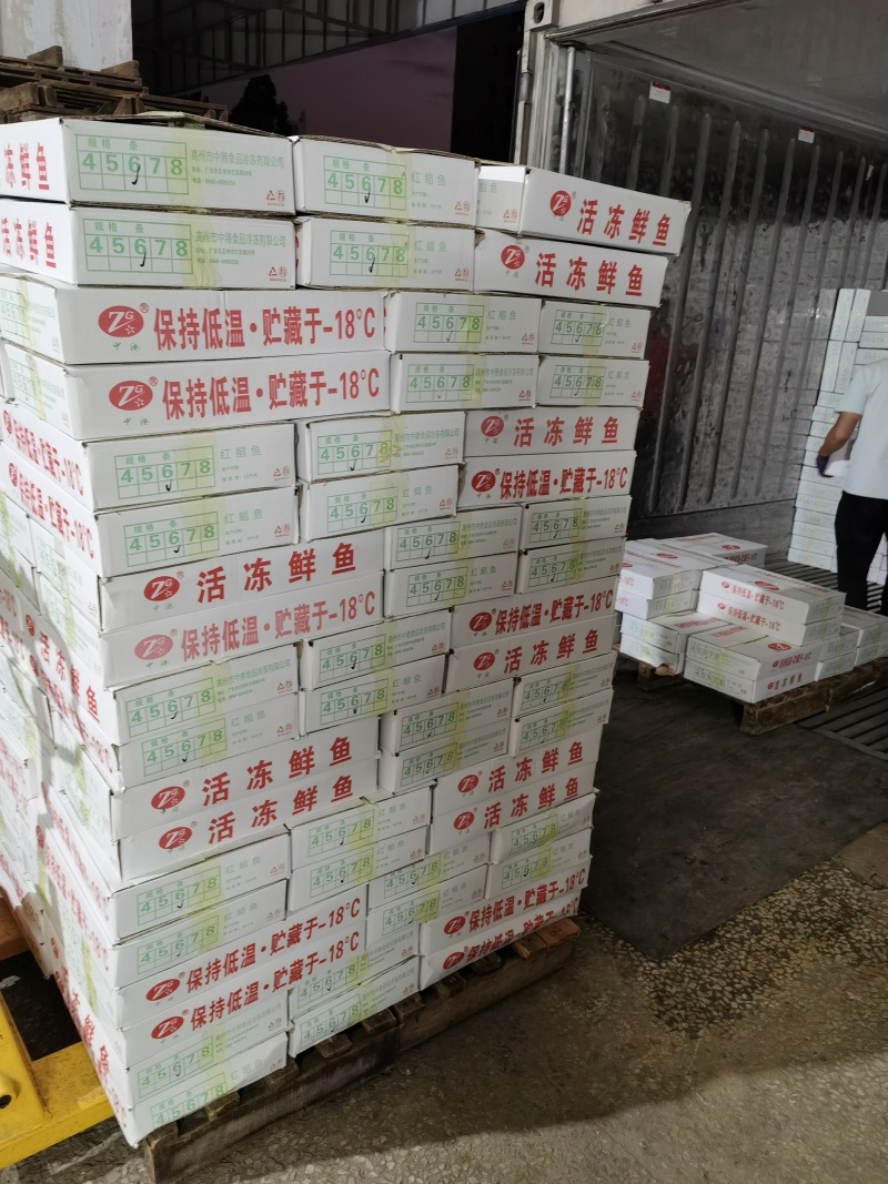 鲜冻红鲳鱼
