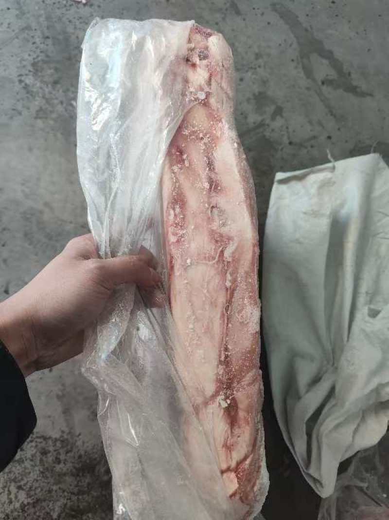 母猪花肠头