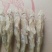微山湖，油炸，铁板烤，鲜冻麦穗鱼，白条，鳑鲏，，趴地虎