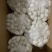 万友0.25%高效氯氰菊酯杀虫粉剂蟑螂蚂蚁卫生害虫杀虫剂