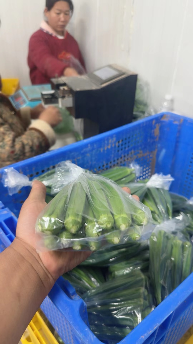 黄秋葵，是电商各大连锁超市，批发市场，社区团购采购产品