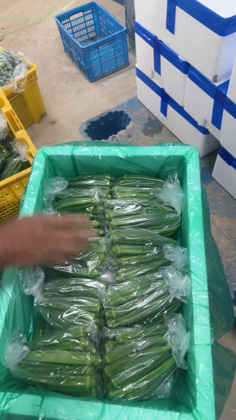 黄秋葵，是电商各大连锁超市，批发市场，社区团购采购产品