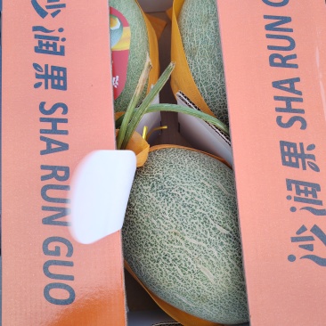 精品哈密瓜。