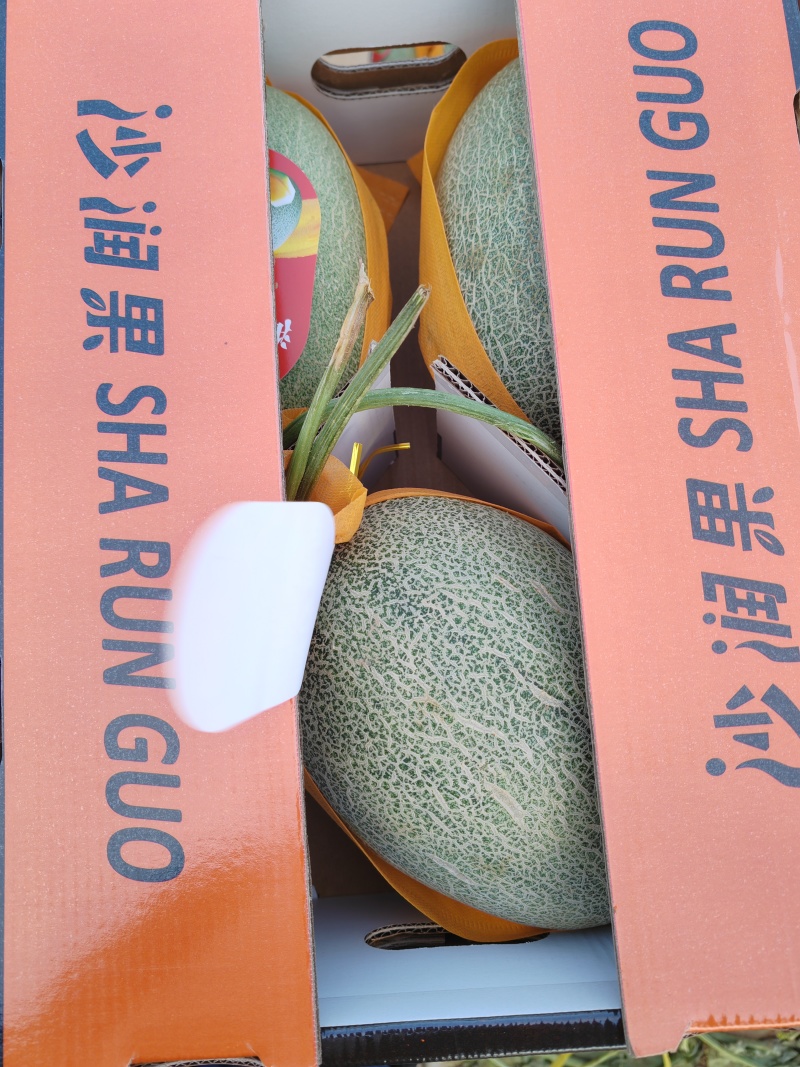 精品哈密瓜。