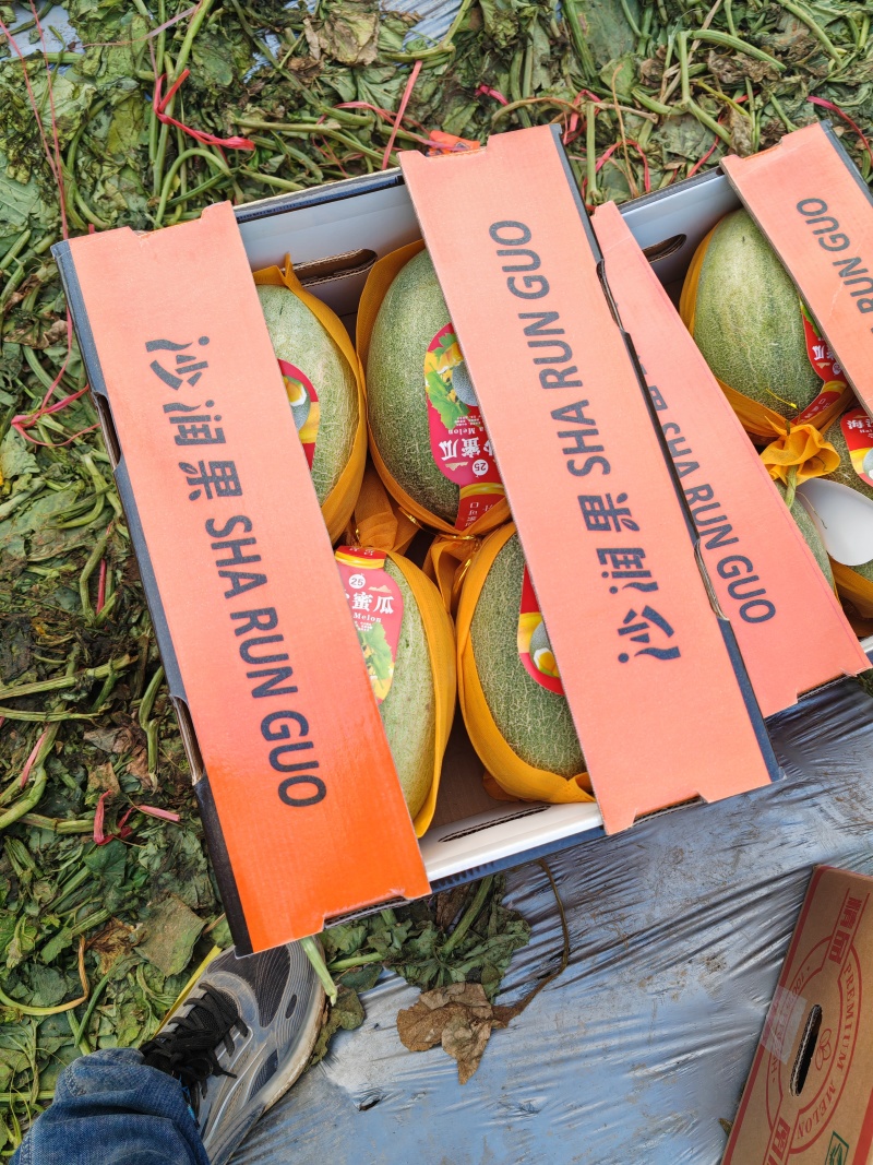 精品哈密瓜。