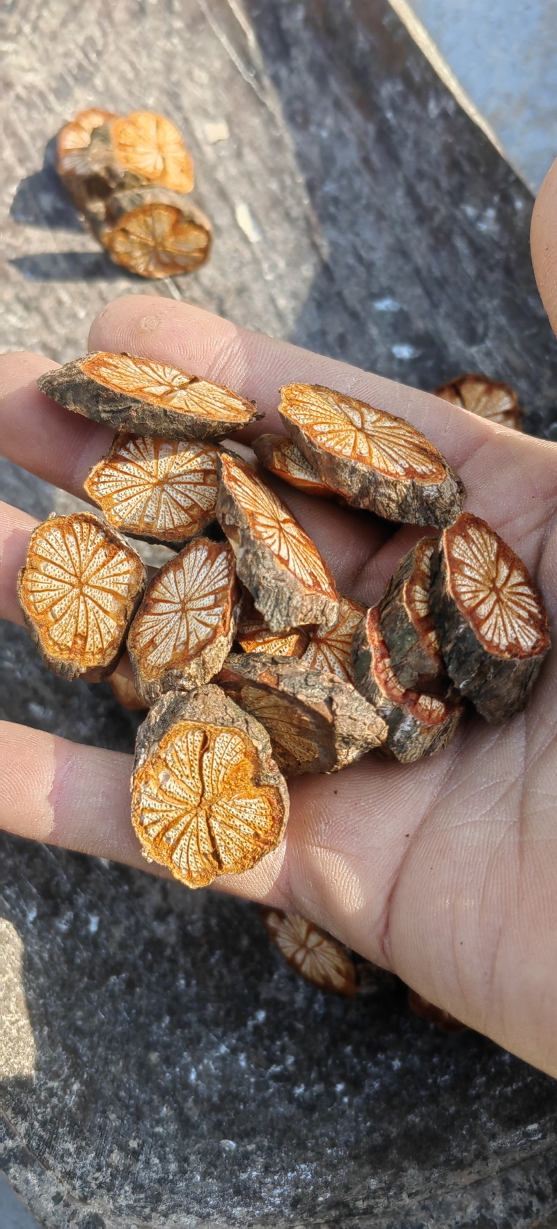 五花大血藤红藤血塞通跑江湖摆地摊电商药厂一手货源产地直供