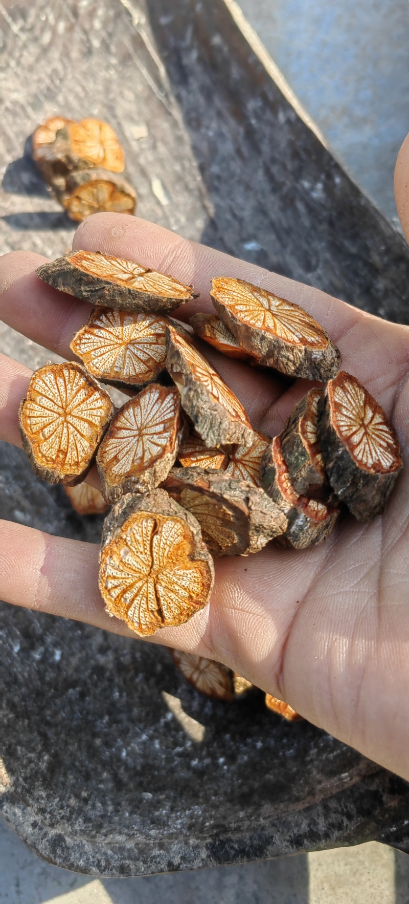 五花大血藤红藤血塞通跑江湖摆地摊电商药厂一手货源产地直供