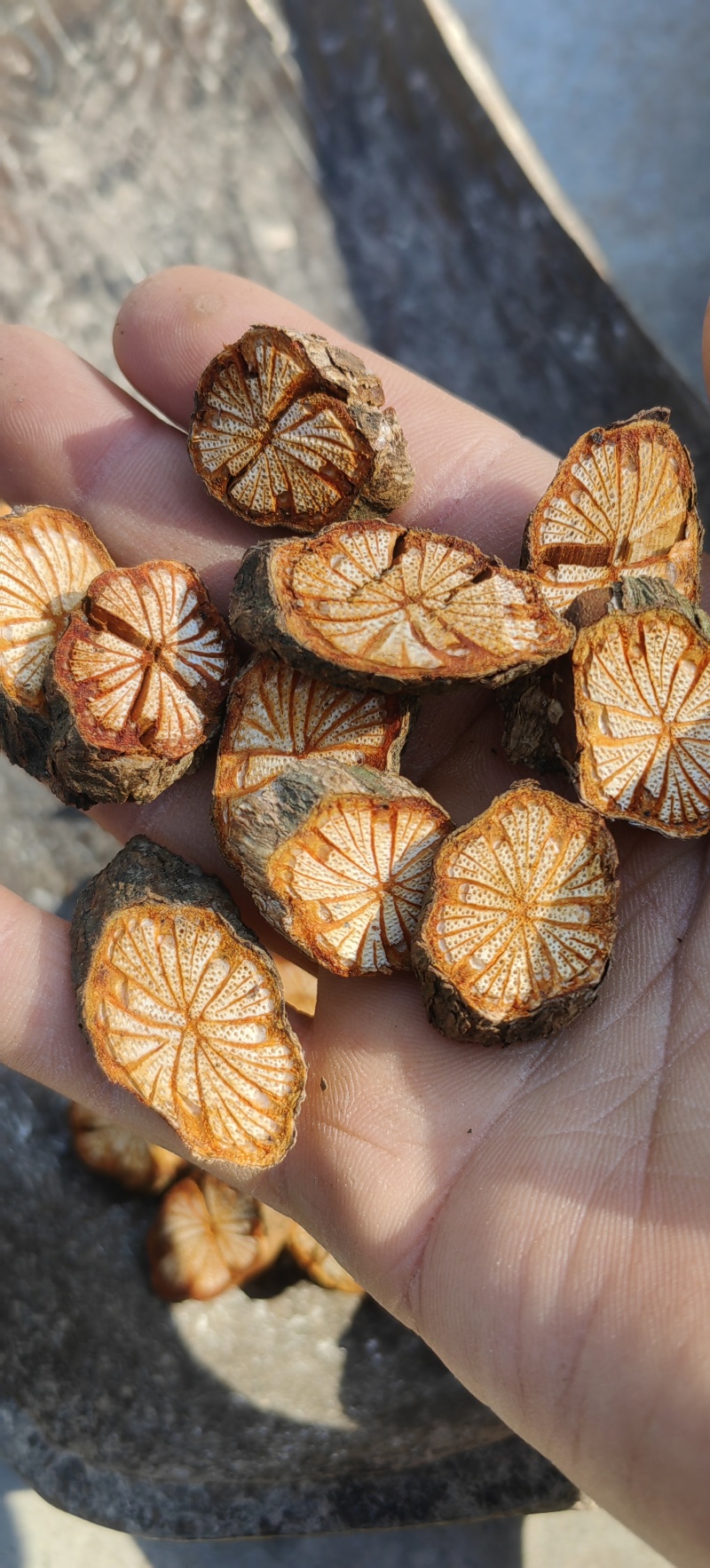 五花大血藤红藤血塞通跑江湖摆地摊电商药厂一手货源产地直供