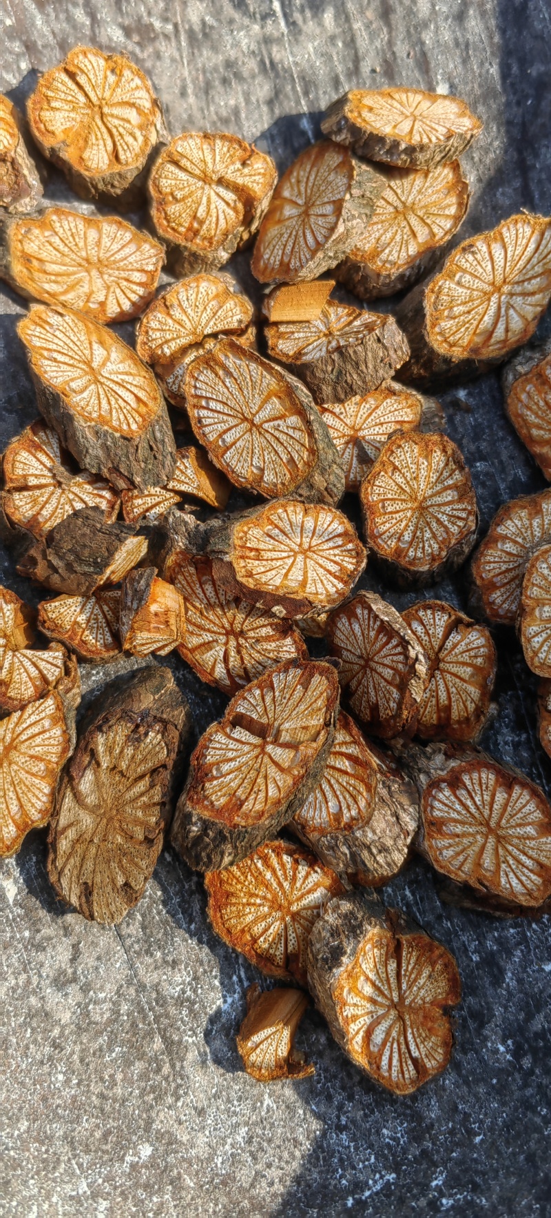 五花大血藤红藤血塞通跑江湖摆地摊电商药厂一手货源产地直供