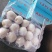 雪花梨大量有货，对接全国市场电商平台，欢迎新老客户前来合作
