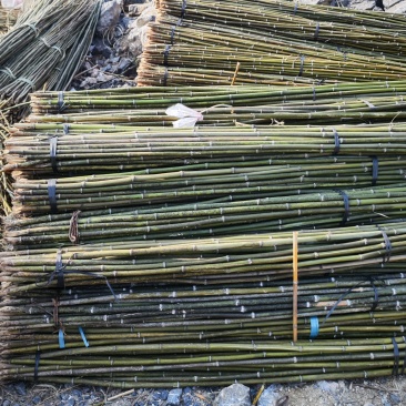 精品菜架竹竹竿量大质优产地直销欢迎各大老板前来采购
