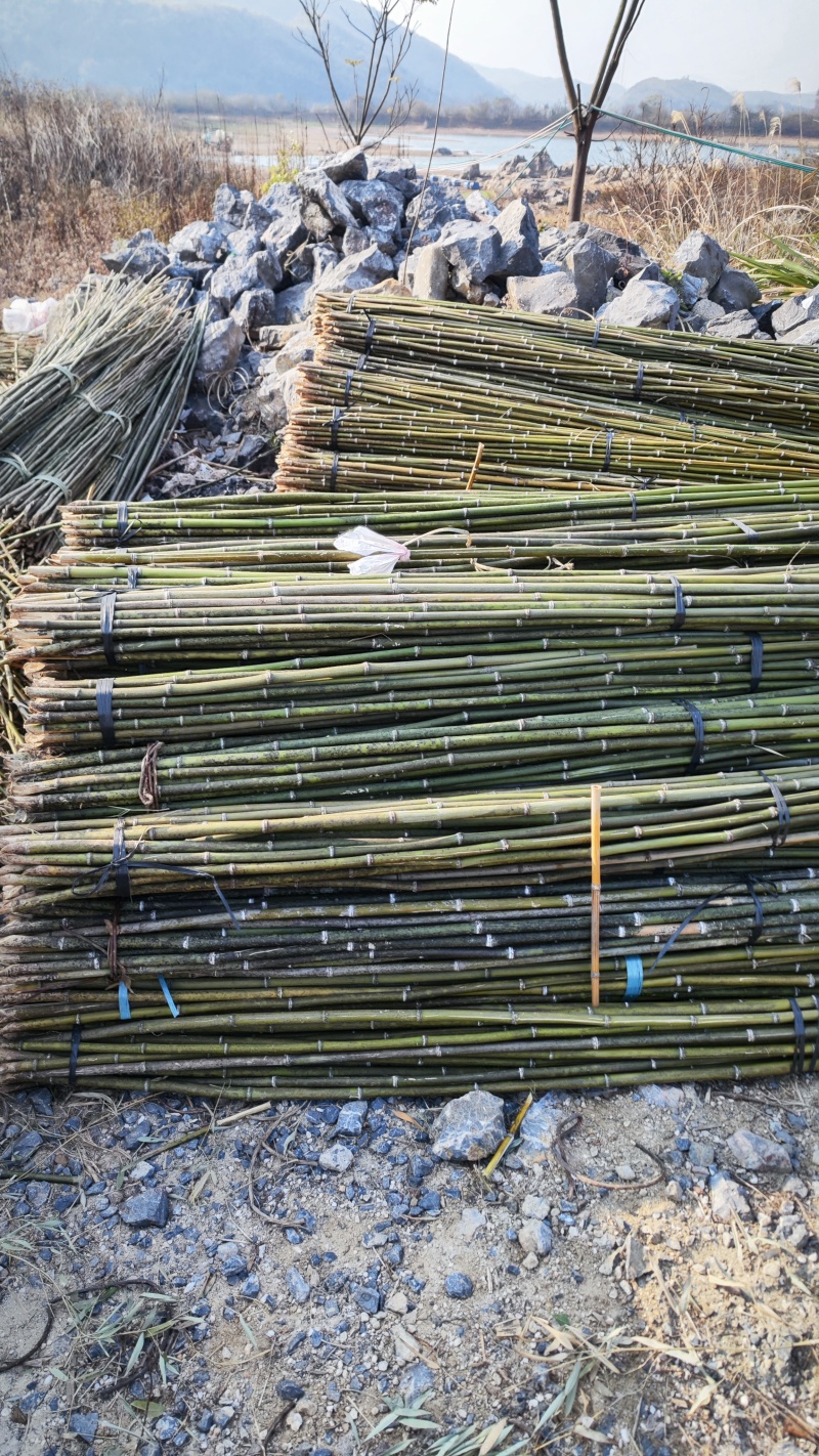 精品菜架竹竹竿量大质优产地直销欢迎各大老板前来采购