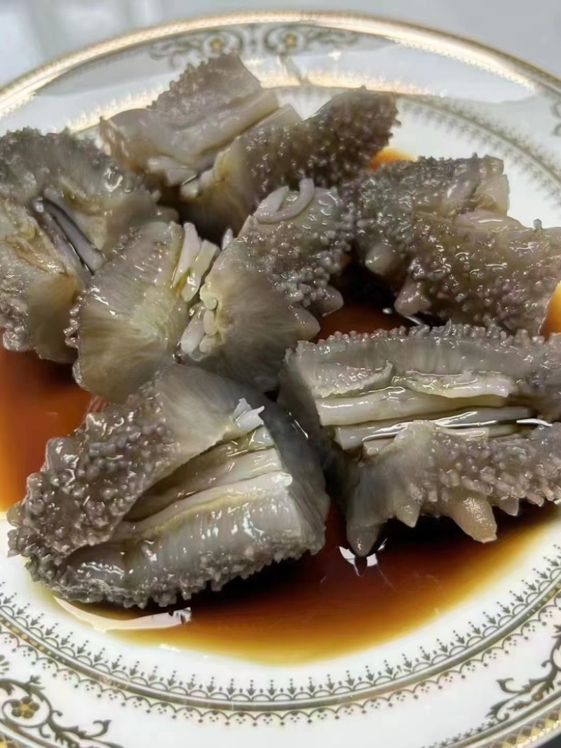 鲜食海参大连辽参即食海参厂家直供有量批发