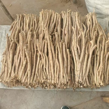 精品防风条滋补养生保质保量，产地直销，量大从优，物美价廉