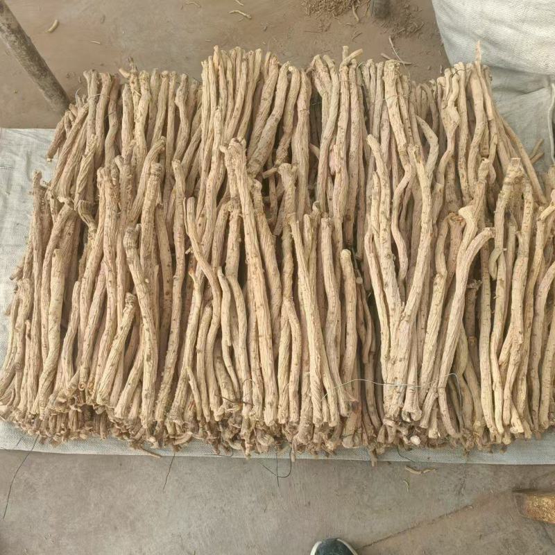 精品防风条滋补养生保质保量，产地直销，量大从优，物美价廉