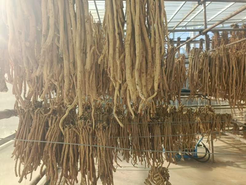 精品防风条滋补养生保质保量，产地直销，量大从优，物美价廉