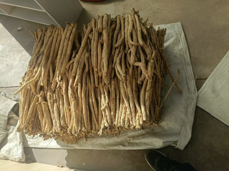 精品防风条滋补养生保质保量，产地直销，量大从优，物美价廉