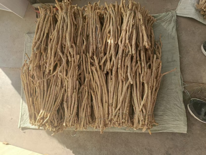 精品防风条滋补养生保质保量，产地直销，量大从优，物美价廉