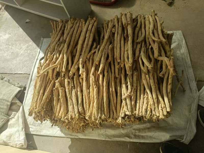 精品防风条滋补养生保质保量，产地直销，量大从优，物美价廉