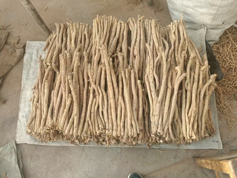 精品防风条滋补养生保质保量，产地直销，量大从优，物美价廉