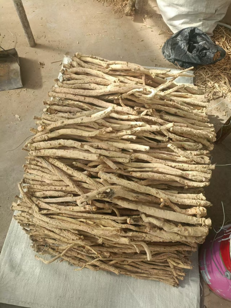 精品防风条滋补养生保质保量，产地直销，量大从优，物美价廉