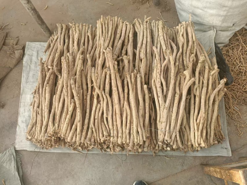 精品防风条滋补养生保质保量，产地直销，量大从优，物美价廉