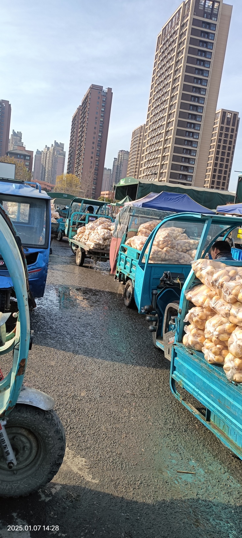 小藕头