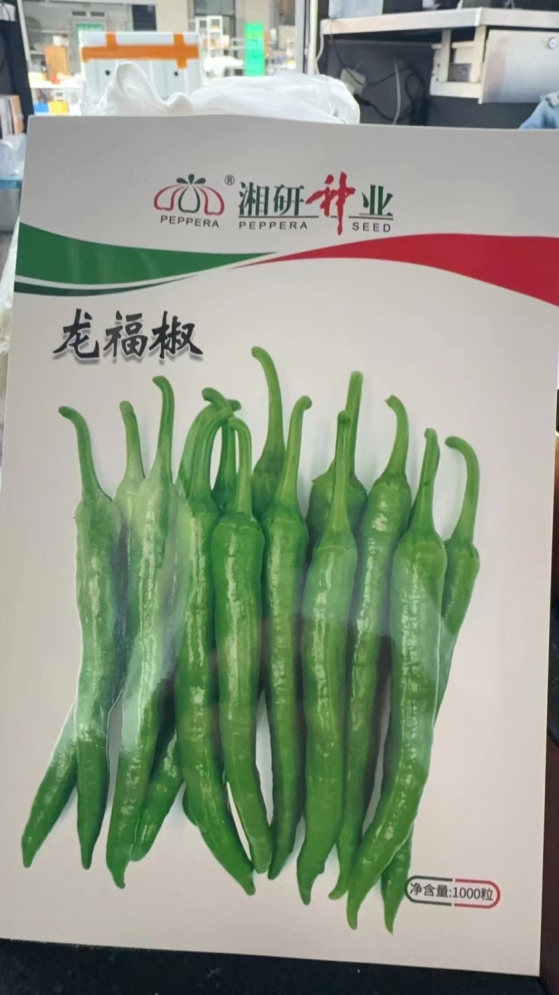 皱皮辣椒，自产自销，适合各大商超和连锁超市团购。