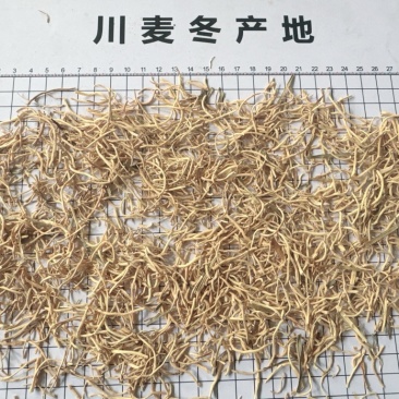 麦冬须麦冬头四川绵阳产地销售，符合药典！