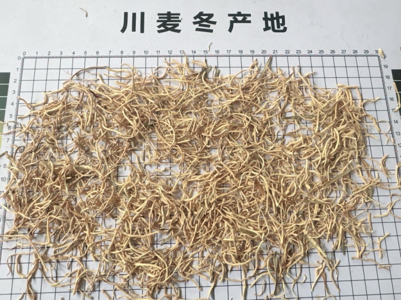 麦冬须麦冬头四川绵阳产地销售，符合药典！