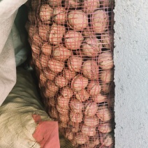 清香核桃