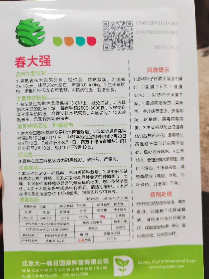春大强羞月626君川珊珊黄心白菜种子抗根肿黄心矮颗