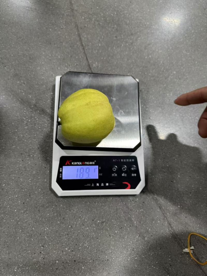 库尔勒香梨